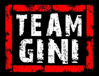 Team GINI